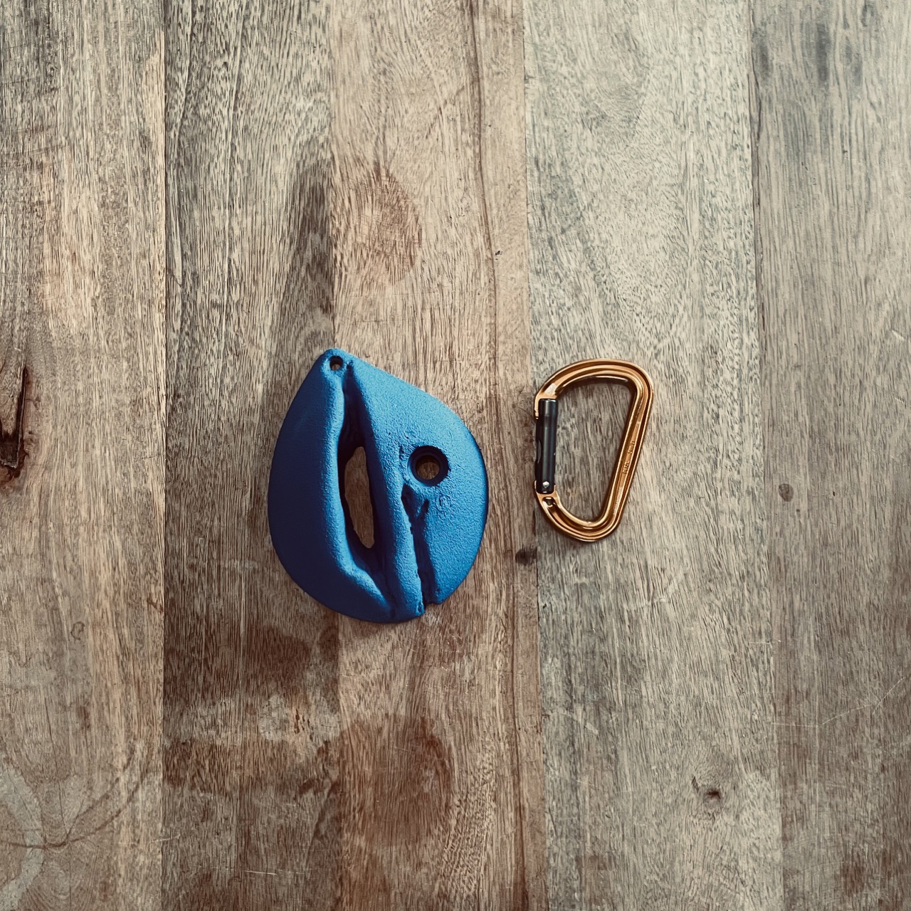 LOT9_EP_BLEU_L