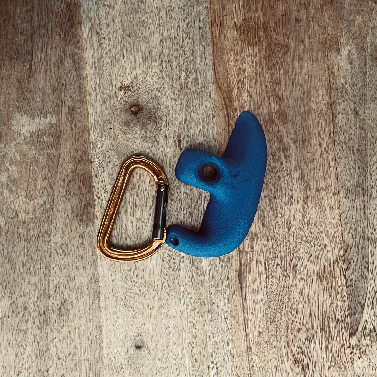LOT5_EP_BLEU_M_1