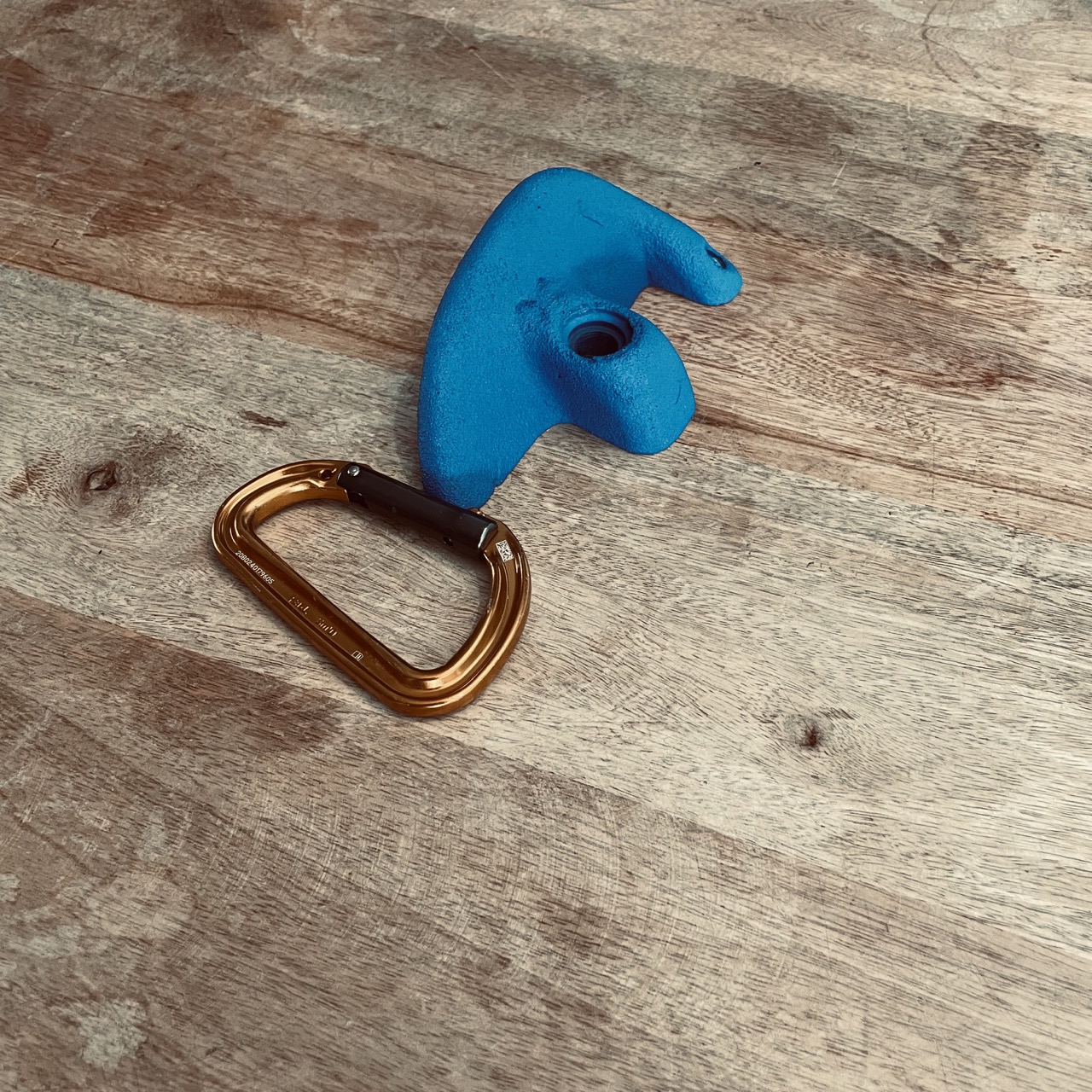 LOT5_EP_BLEU_M_2