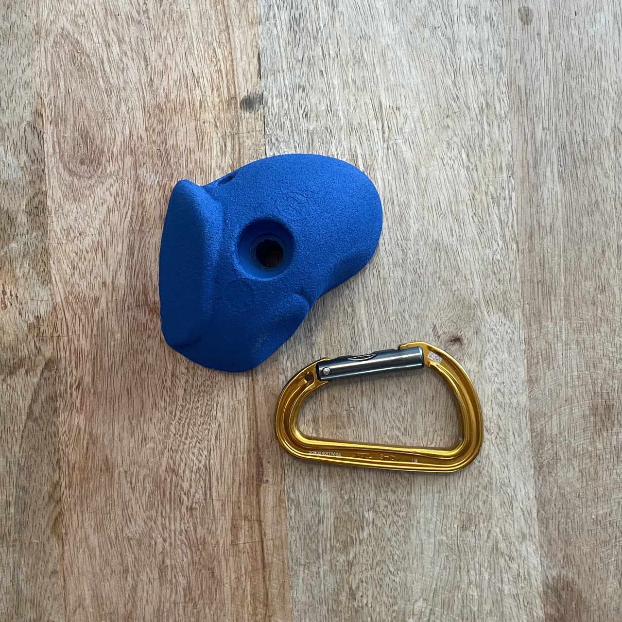 LOT31_EP_BLEU_L