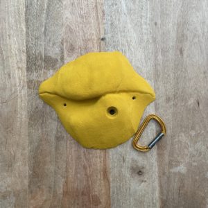 LOT55_EP_JAUNE_XL